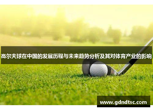 高尔夫球在中国的发展历程与未来趋势分析及其对体育产业的影响